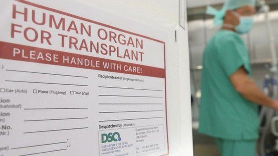 Organ transplant box in surgery