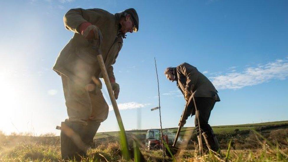 A photo of farmers planting in a field