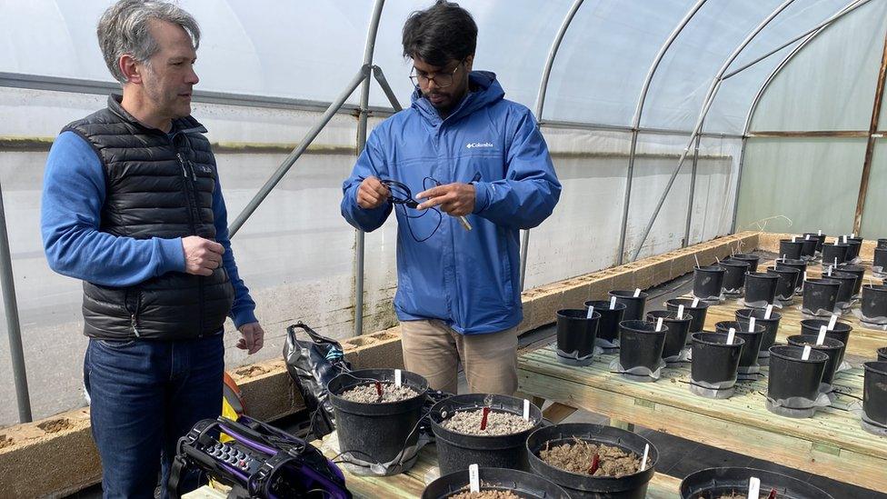 Two men in a greenhouse surrounded by plastic pots filled with soil