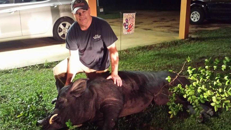 Mr Seago with the dead wild boar (July 2017)