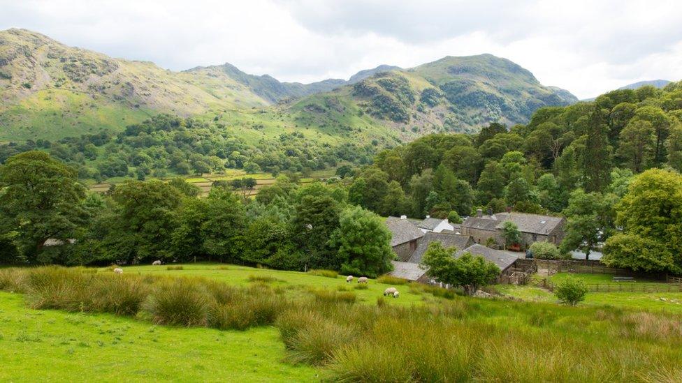 Borrowdale