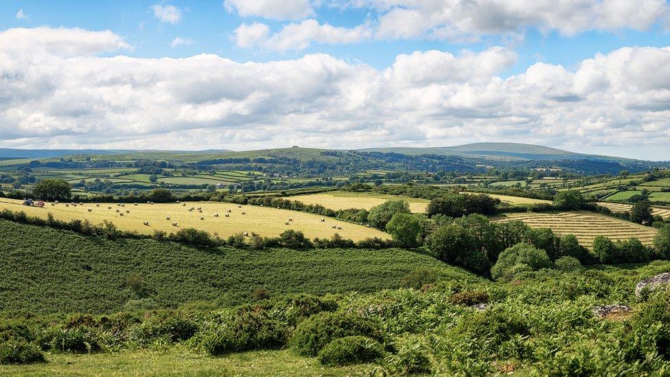 Overlooking a farm near Moretonhampstead