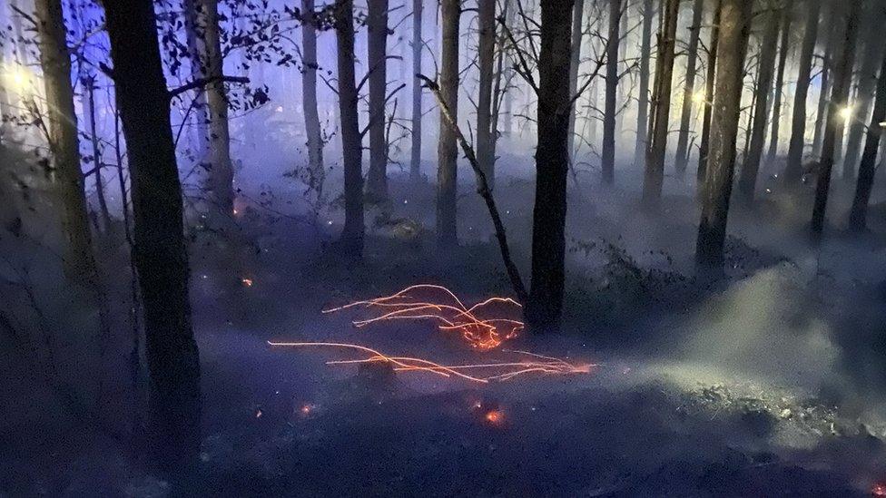 Fire in a forest in Brandon