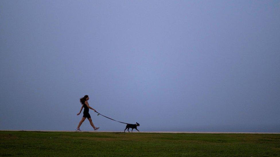 lady-walking-dog-dust-cloud.