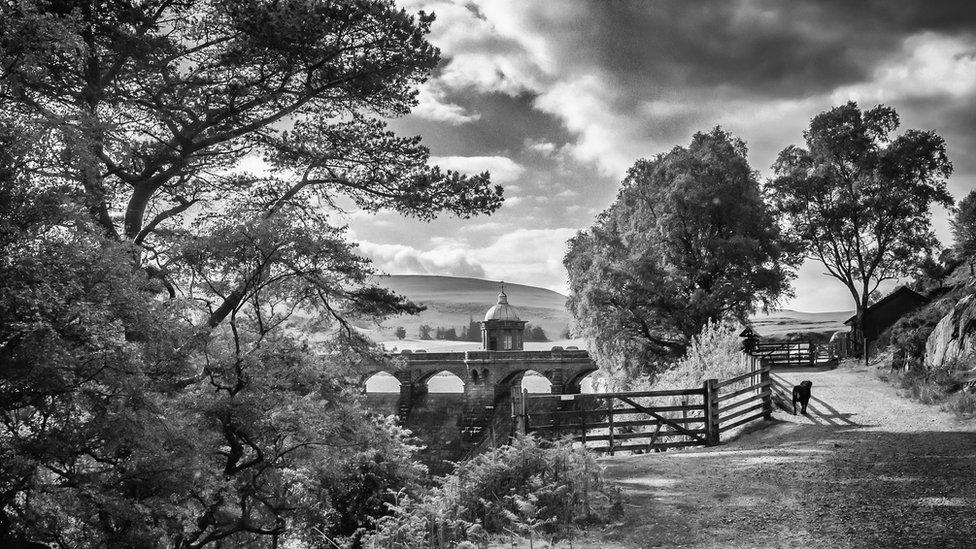 David James, of Pontypool, took this picture of Elan Valley.