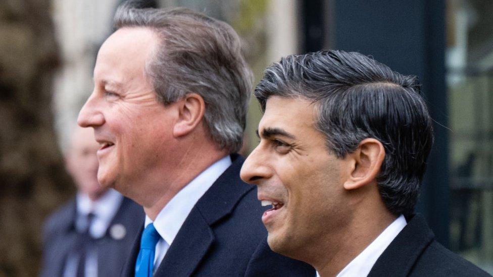 Rishi Sunak and Lord Cameron, pictured at Horse Guards Parade for the state visit of the South Korean president