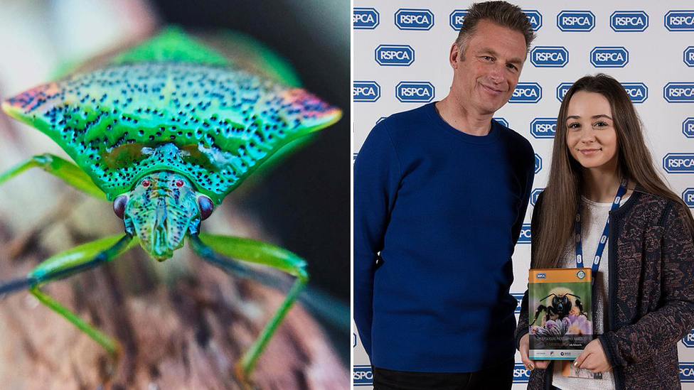 A green shield bug and Lily Edwards with Chris Packham