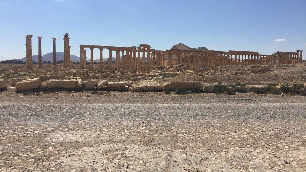 Palmyra