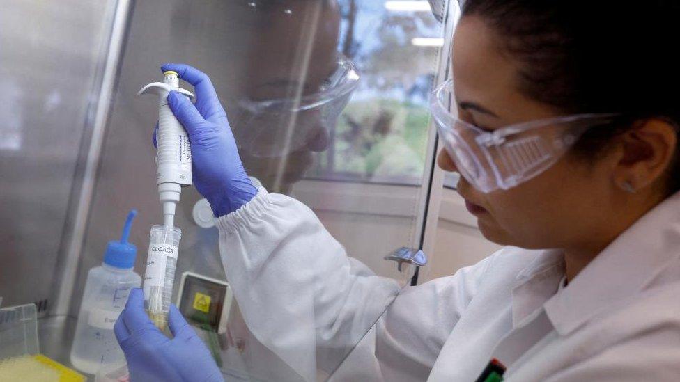 An inspector in a white coat tests a specimen in a lab