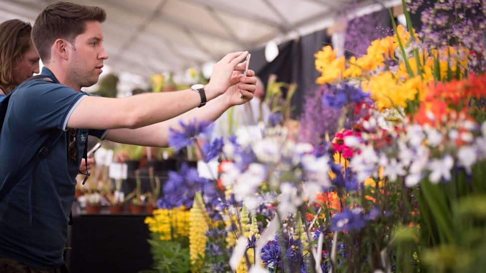 New Forest & Hampshire County Show