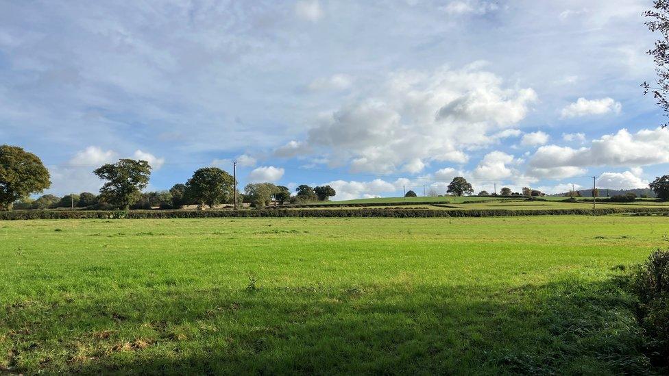 An empty field of grass