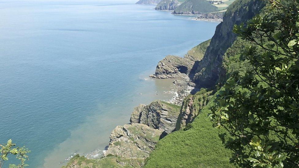 Sandstone cliffs in southwest England where scientists discovered the world's oldest fossil forest