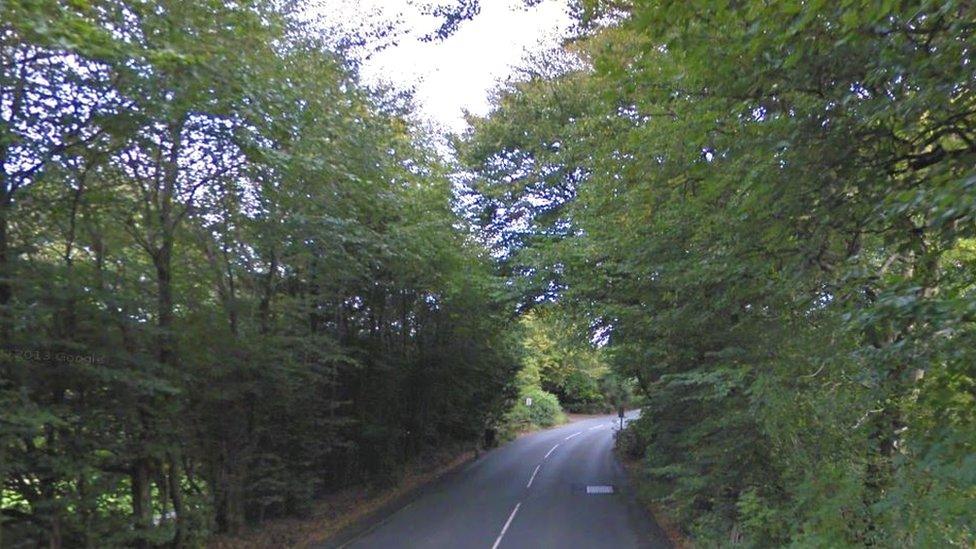 Trees on Braaid Road