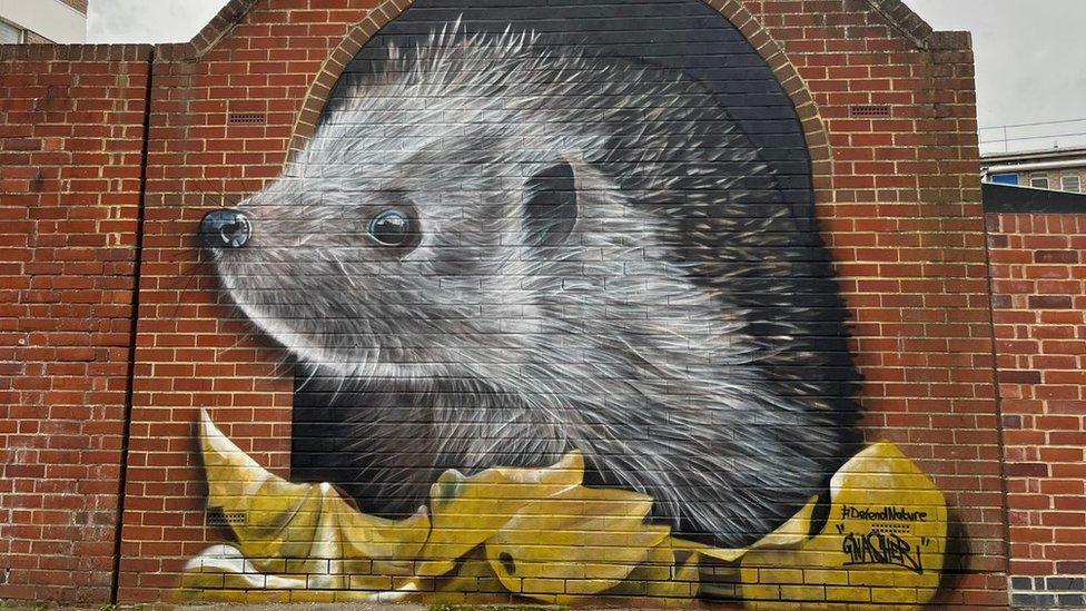 The hedgehog mural at the High Chelmer shopping centre in Chelmsford