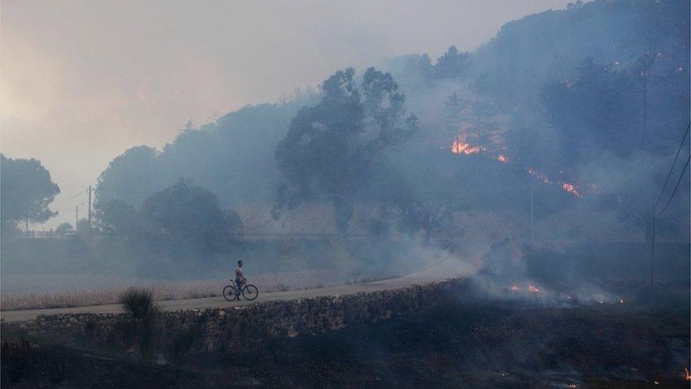 Man on a bicycle observes a forest fire in Alcabideque, central Portugal 15/10/2017