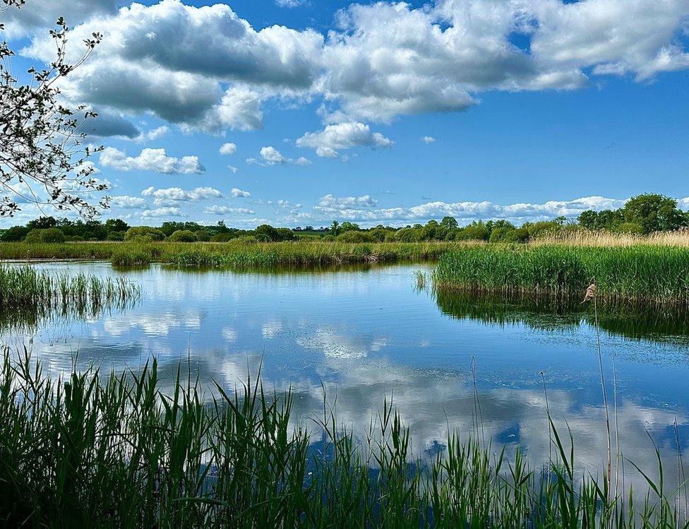 Clouds reflected in still water