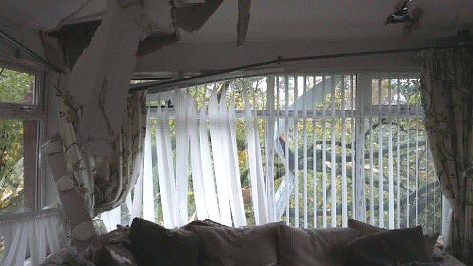 Tree collapses on a house in Broughshane, County Antrim, during Hurricane Ophelia