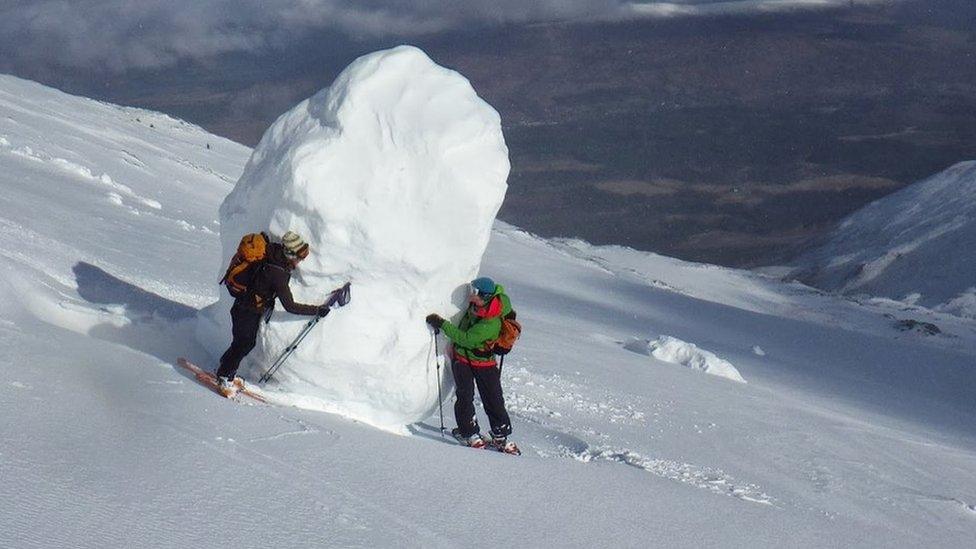 Lump of fallen cornice