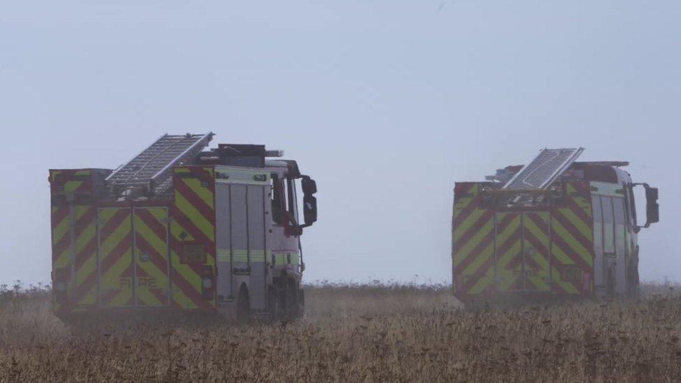 Fire engines at the Bolberry Down wildfire