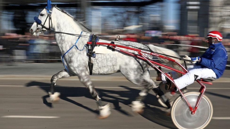 Orlov Trotter horse races in Moscow 2020