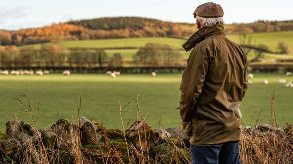 Sheep farmer and flock