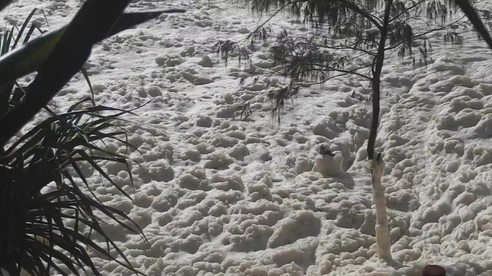 Man in sea foam