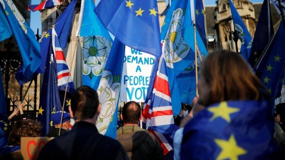 Anti-Brexit supporters protest outside the Houses of Parliament in London. Photo: 1 April 2019