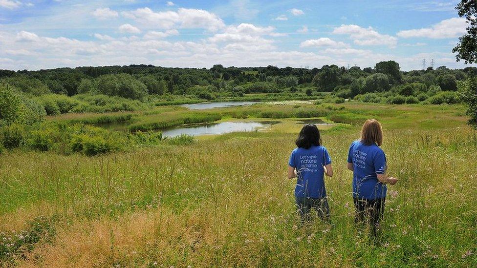 Sandwell Valley RSPB reserve