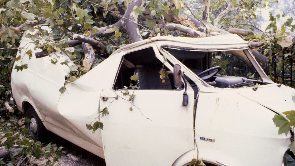 Photo of a tree smashed into a a white van in 1987.