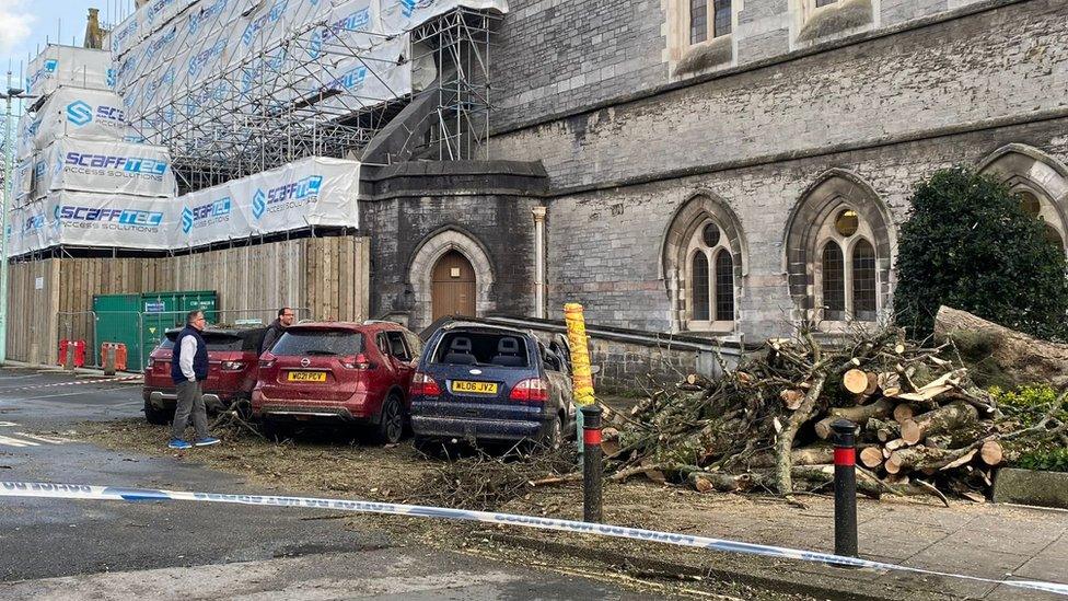 Tree fallen outside Guildhall destroys three cars