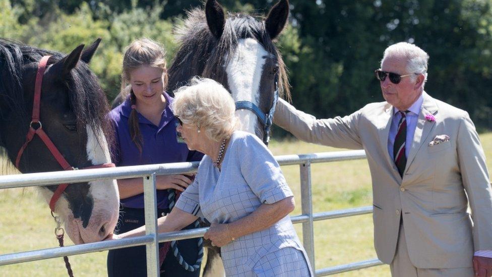 Prince Charles and the Duchess of Cornwall