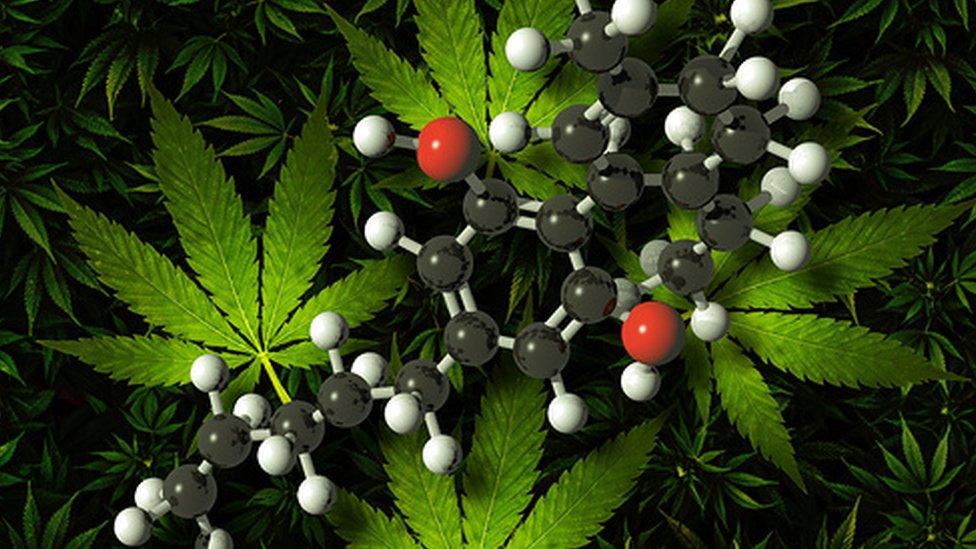 Cannabis and compounds