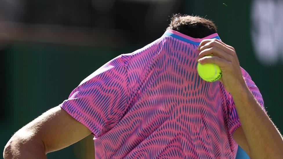 Carlos Alcaraz hides from bees