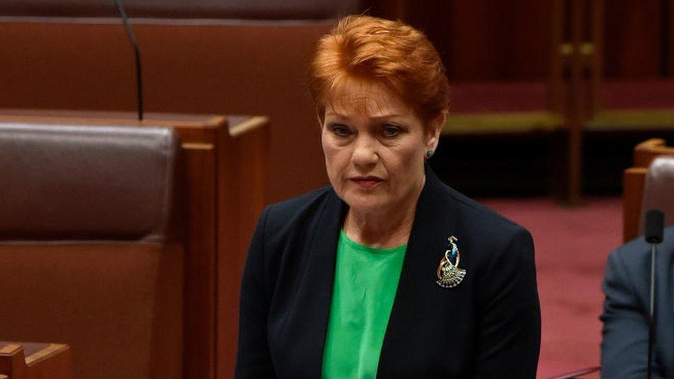 Pauline Hanson in the Senate