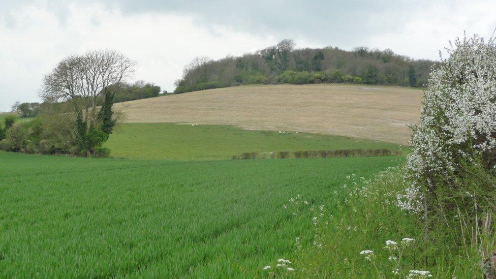 The damaged chalk downland at Weatherby Castle