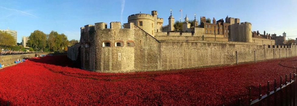 Poppies at Tower of London