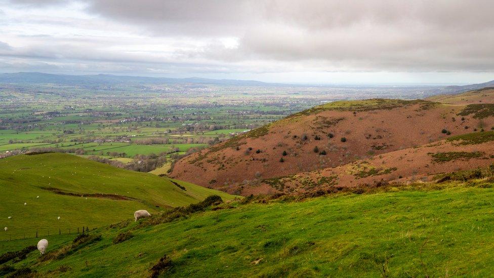 Clwydian mountain range