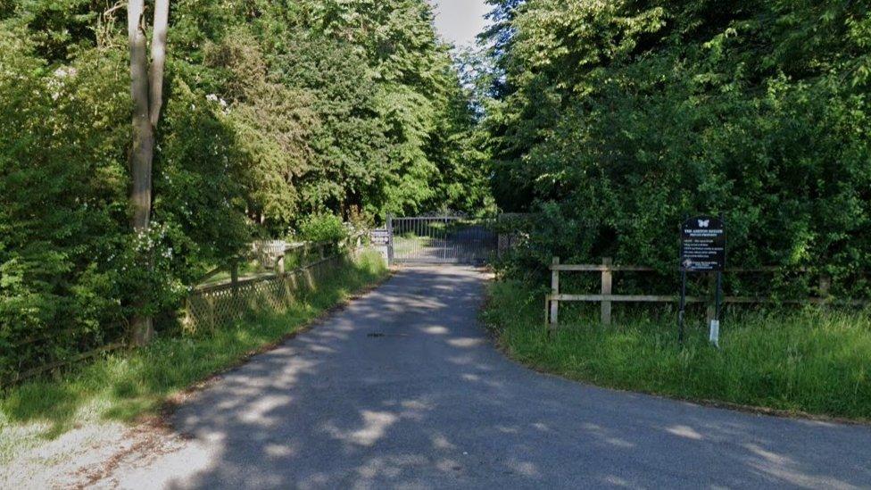 A single-track road with trees either side