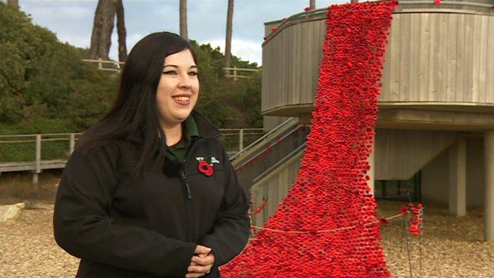 Louise Payne standing in front of the poppy installation