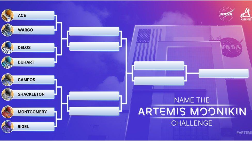 Nasa Moonikin name bracket