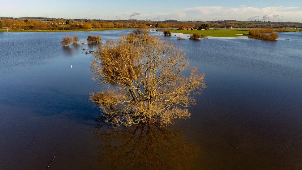 Flooded fields at Muchelney, Somerset