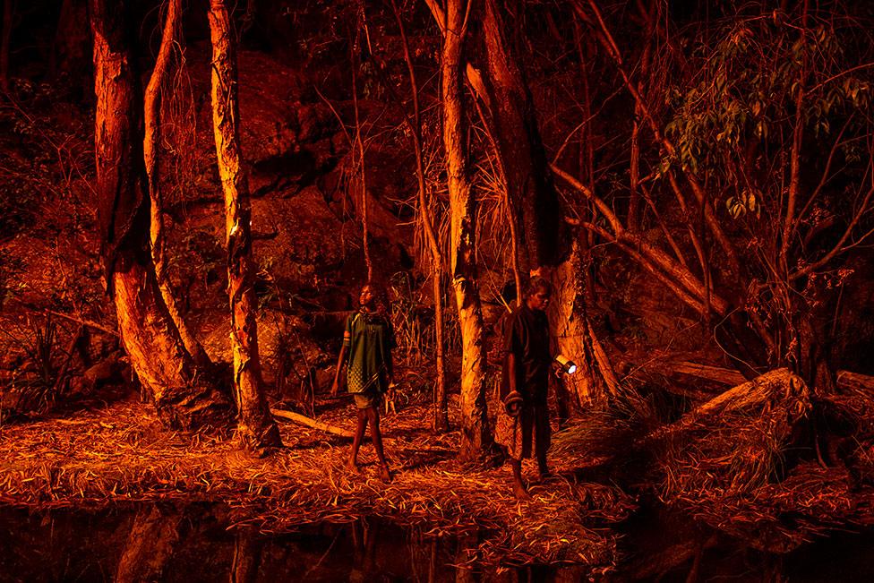 Indigenous Australians set the bark of trees alight to produce a natural light source to help hunt for file snakes in Djulkar, Arnhem Land, Australia, on 22 July 2021