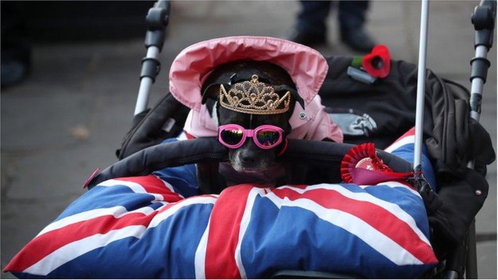 A dog named Princess Cleo was outside the cathedral