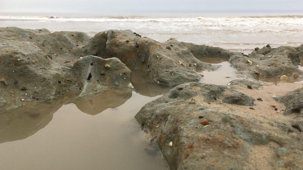 Clay exposed at Somerton Holmes gap between Winterton and Horsey