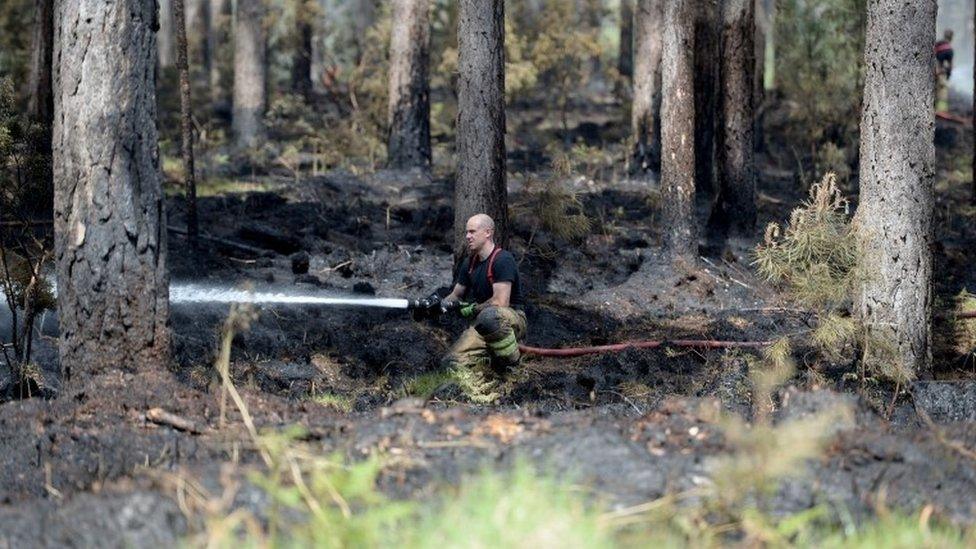 Firefighter in Wareham Forest