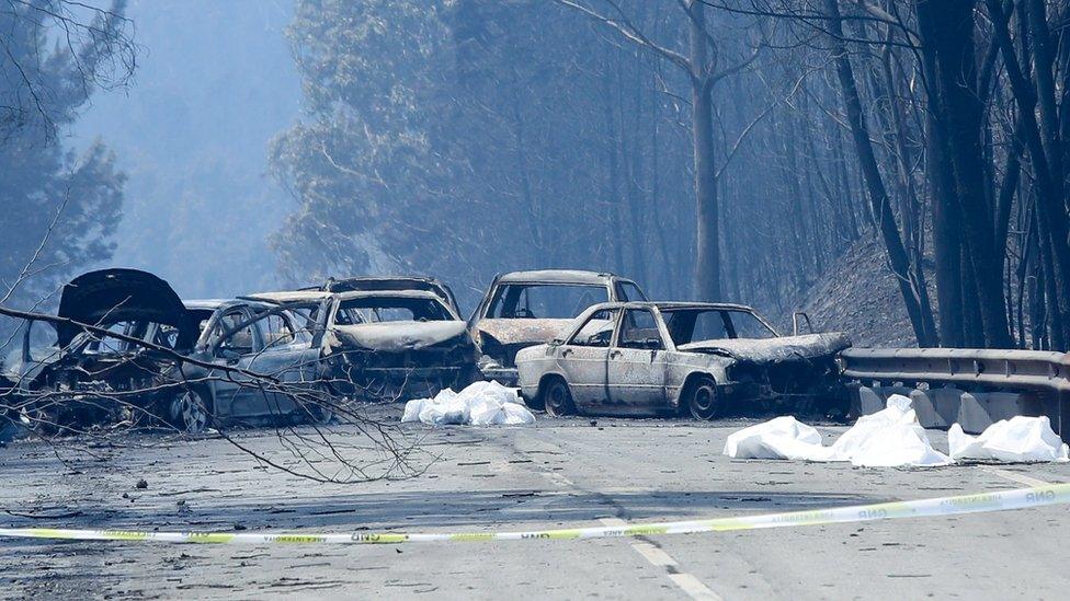 Burnt cars and body bags on the N236 road between Figueiro dos Vinhos and Castanheira de Pera, near Pedrógão Grande., central Portugal, 18 June 2017