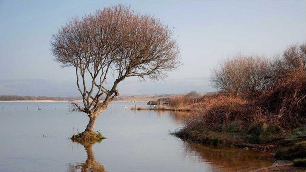 Kenfig National Nature Reserve