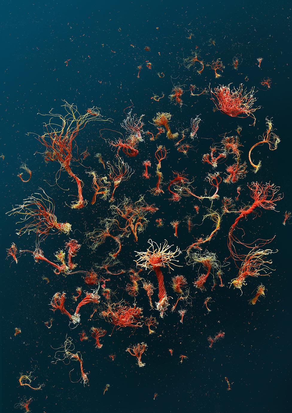 Collection of marine debris against a dark background