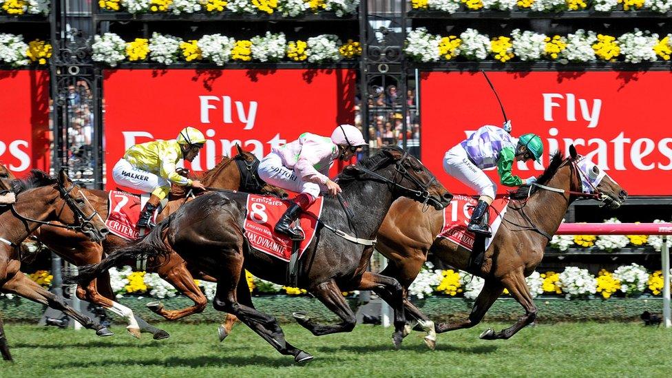 Michelle Payne on Prince of Penzance crosses the finishing line in the Melbourne Cup (3 Nov 2015)