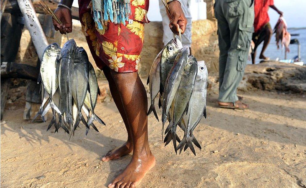 Fishermen in Lamu hold their catch to sell at the market in 2012.